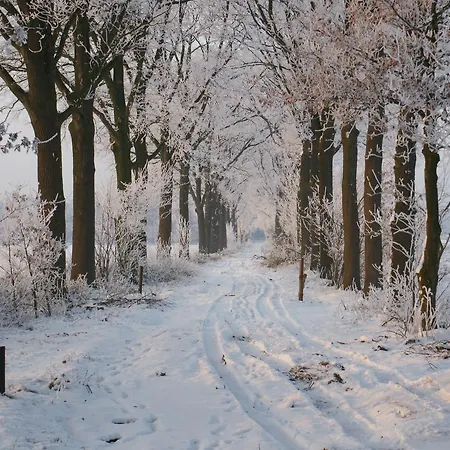 Boutique Huize Rustoord Hotel Esbeek