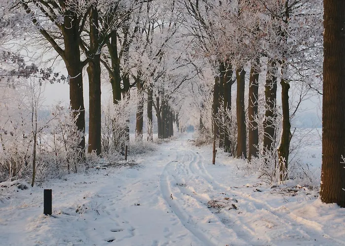 Boutique Huize Rustoord Hotel Esbeek