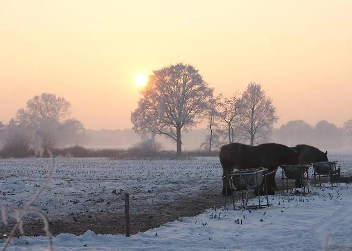 Boutique Huize Rustoord Hotel