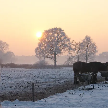 Boutique Huize Rustoord Hotel